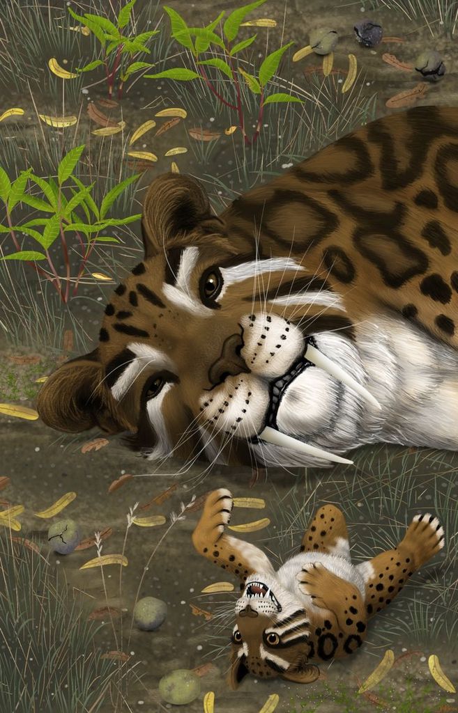 Avatar de Smilodon