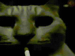 catsmoke