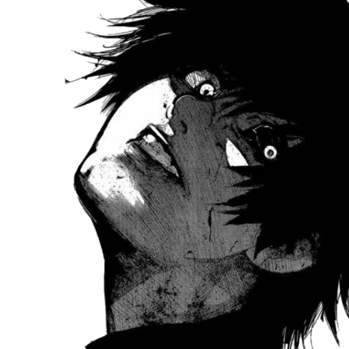 qxsi2d