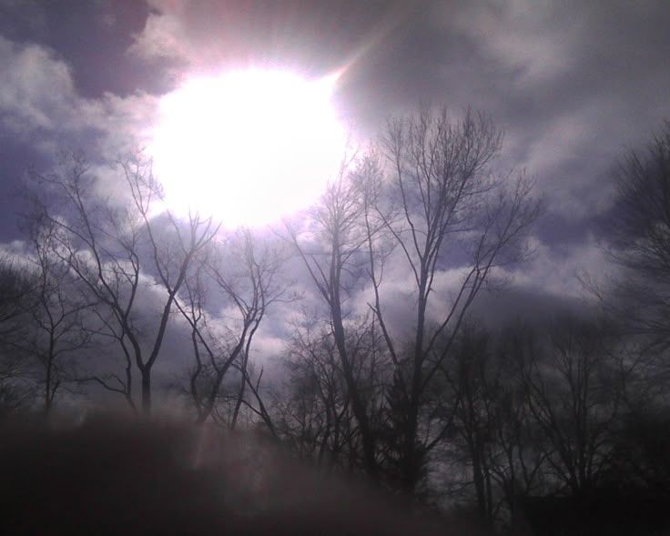 Avatar de Amande