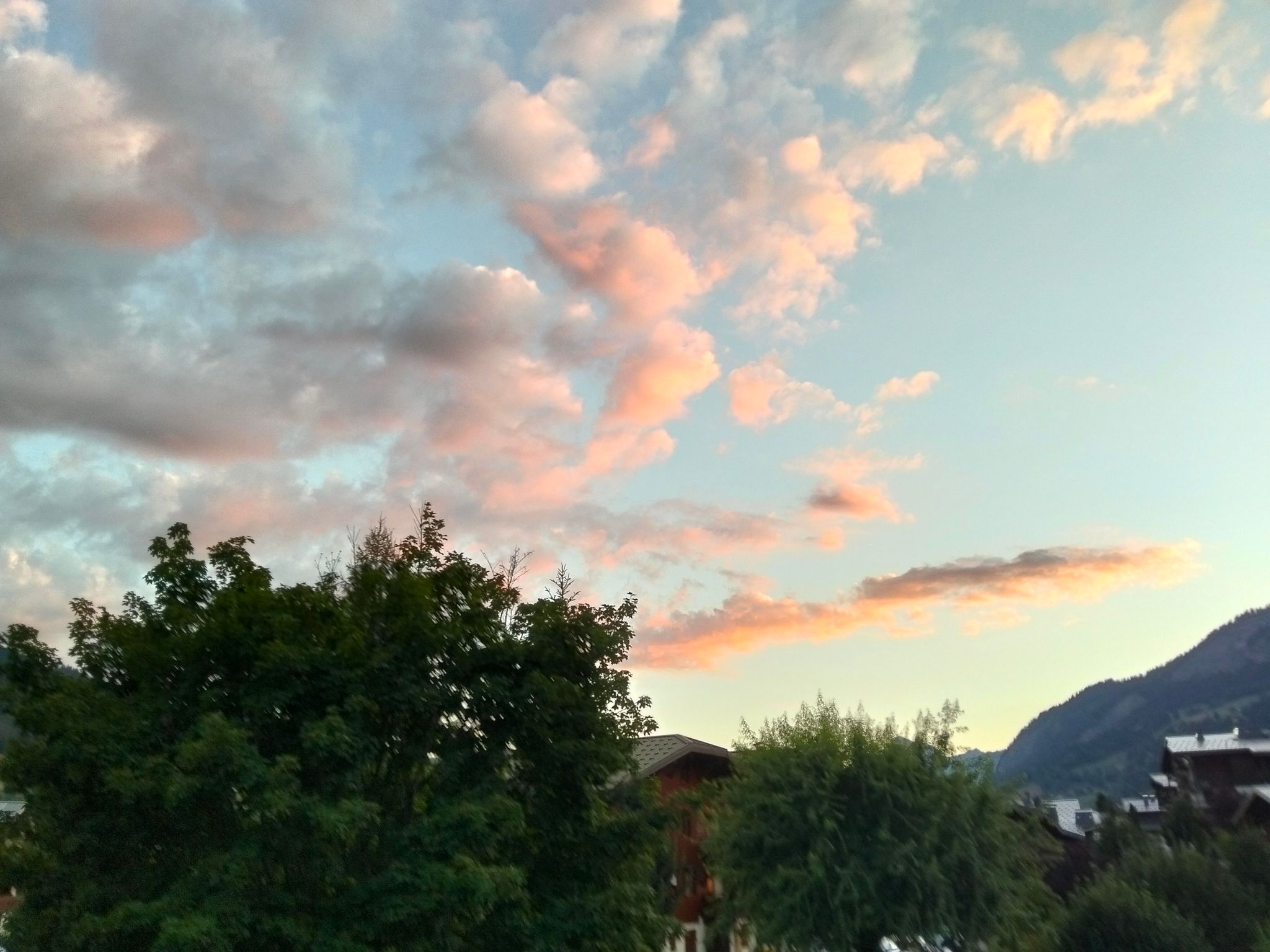 blob:https://village.cx/eafa71ff-aa6e-470a-9fbb-51e74928420d