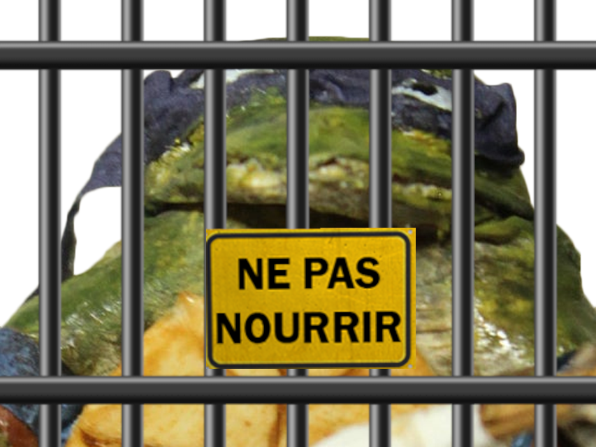 Ligue anti-K