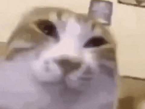 chatoreiloreil