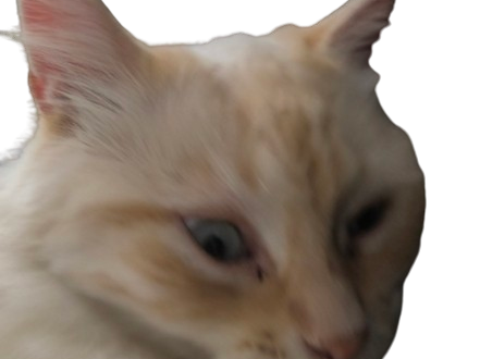 Kfkekf