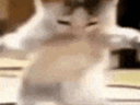 https://pub-edb0c2460d754c5eb19e4f23b232496e.r2.dev/71cd0e2f-bab4-4de4-ad5d-ae57f1a6d92d.gif