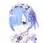 rem3