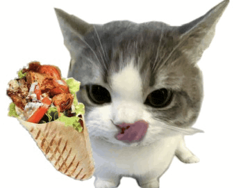 catkebab1
