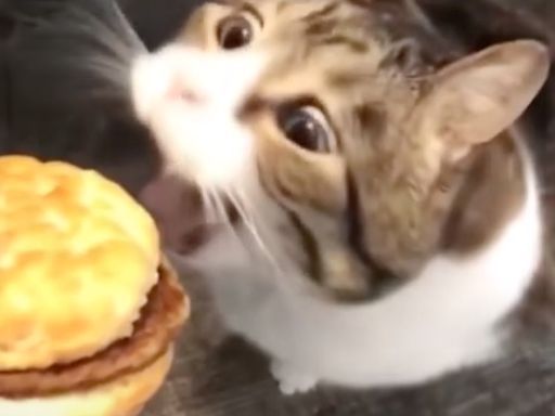 cheesburgerwah