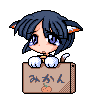 ANTILLAIS_KOUTO