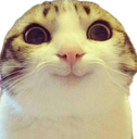 Koussiney