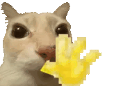 hiii