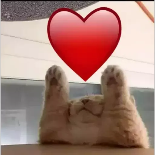 stay