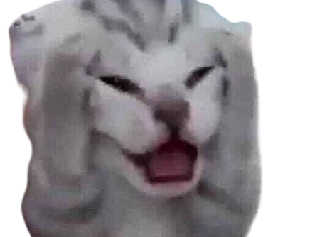 Bfjdj