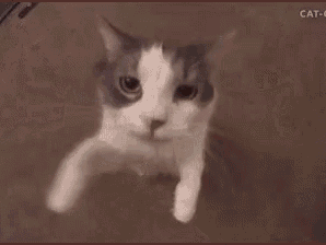 huglove