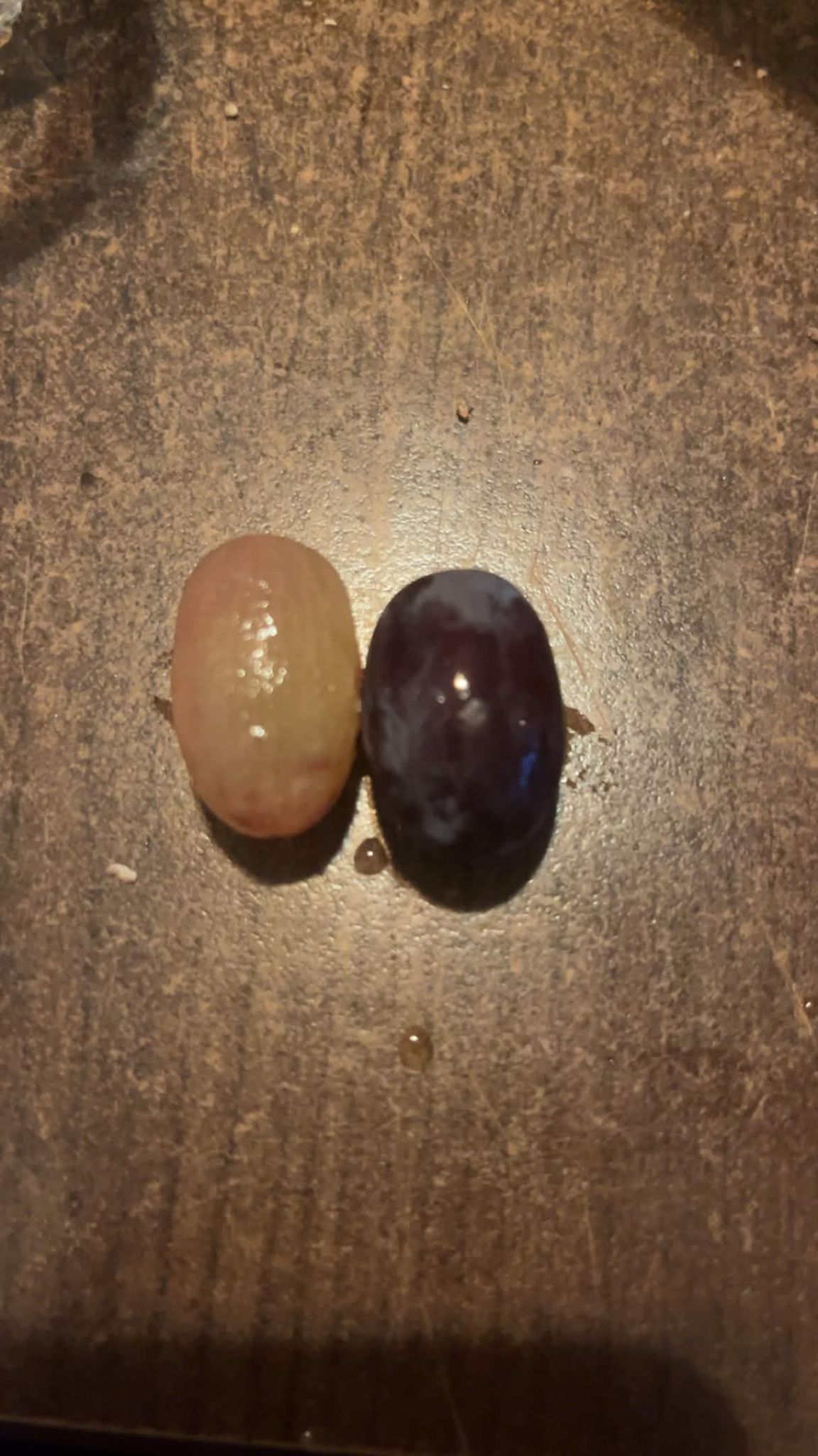 blob:https://village.cx/8518f20e-7603-43e4-b515-09117da1326f