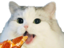 chatpizza