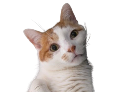 'cnfjf