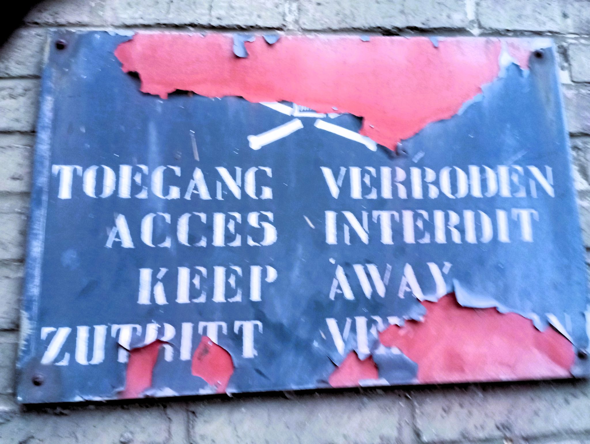 blob:https://village.cx/dea96393-5317-48d2-a940-78fd3c986476