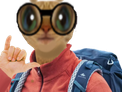 wqwqwq